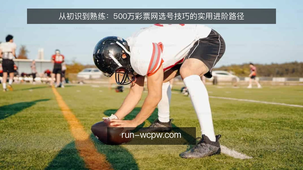 从初识到熟练:500万彩票网选号技巧的实用进阶路径